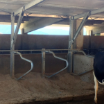 cta-agri_119