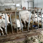 cta-agri_150