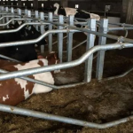 cta-agri_188