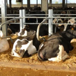 cta-agri_189